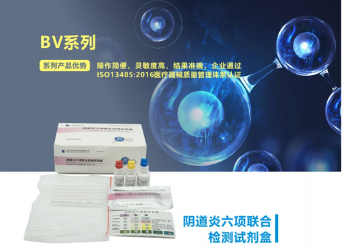 BV系列